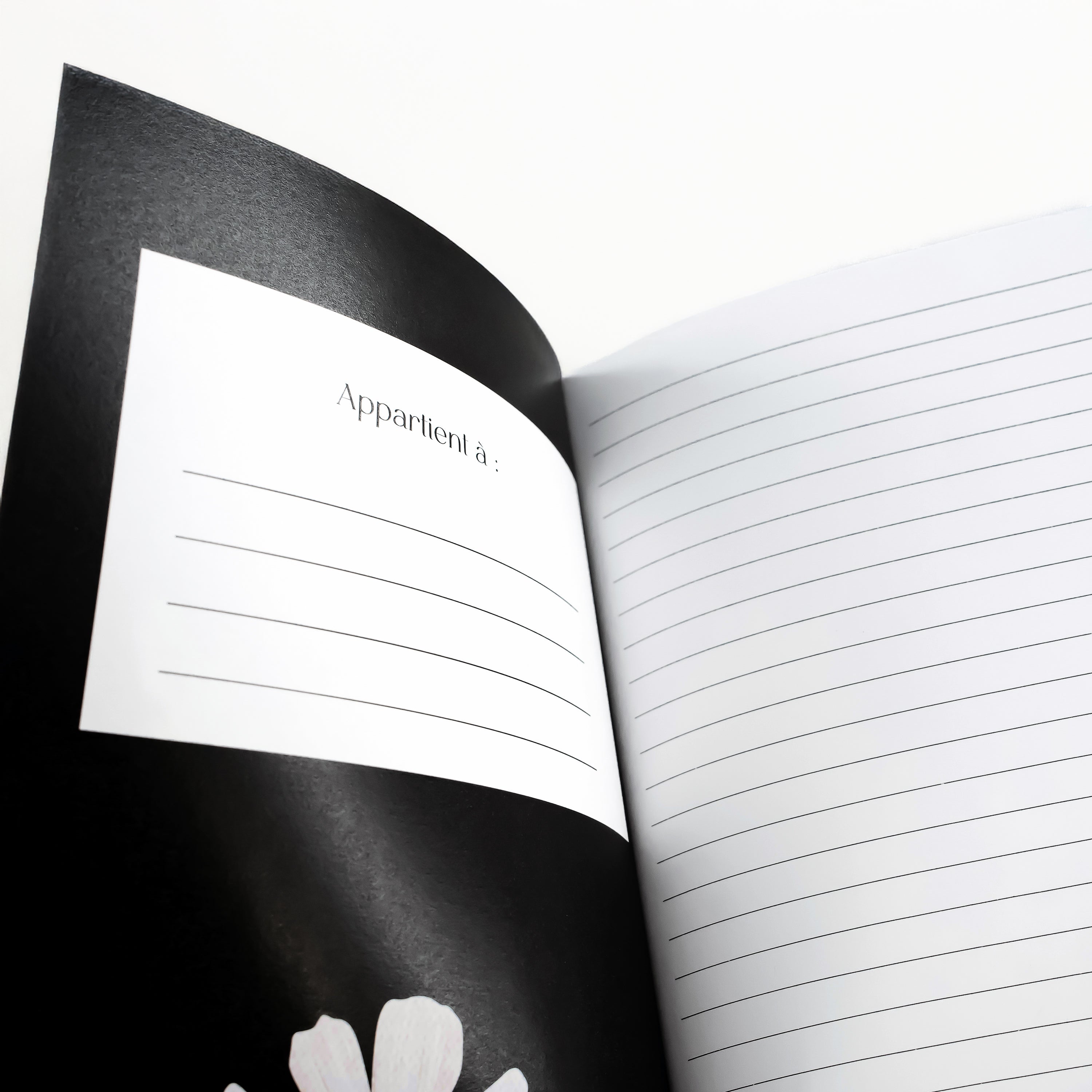 Carnet de notes - Murmures dans la nuit