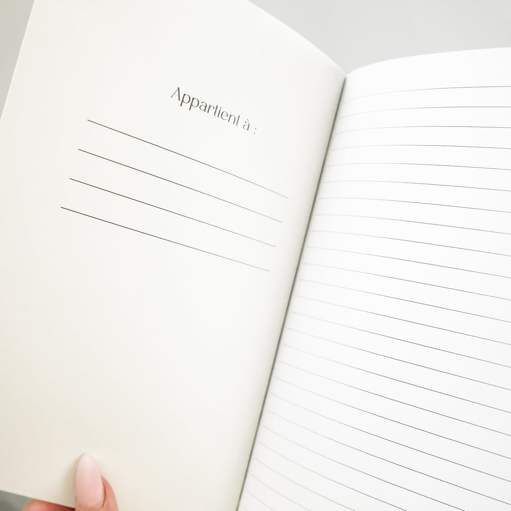 Carnet de notes - Lueurs de magnolias