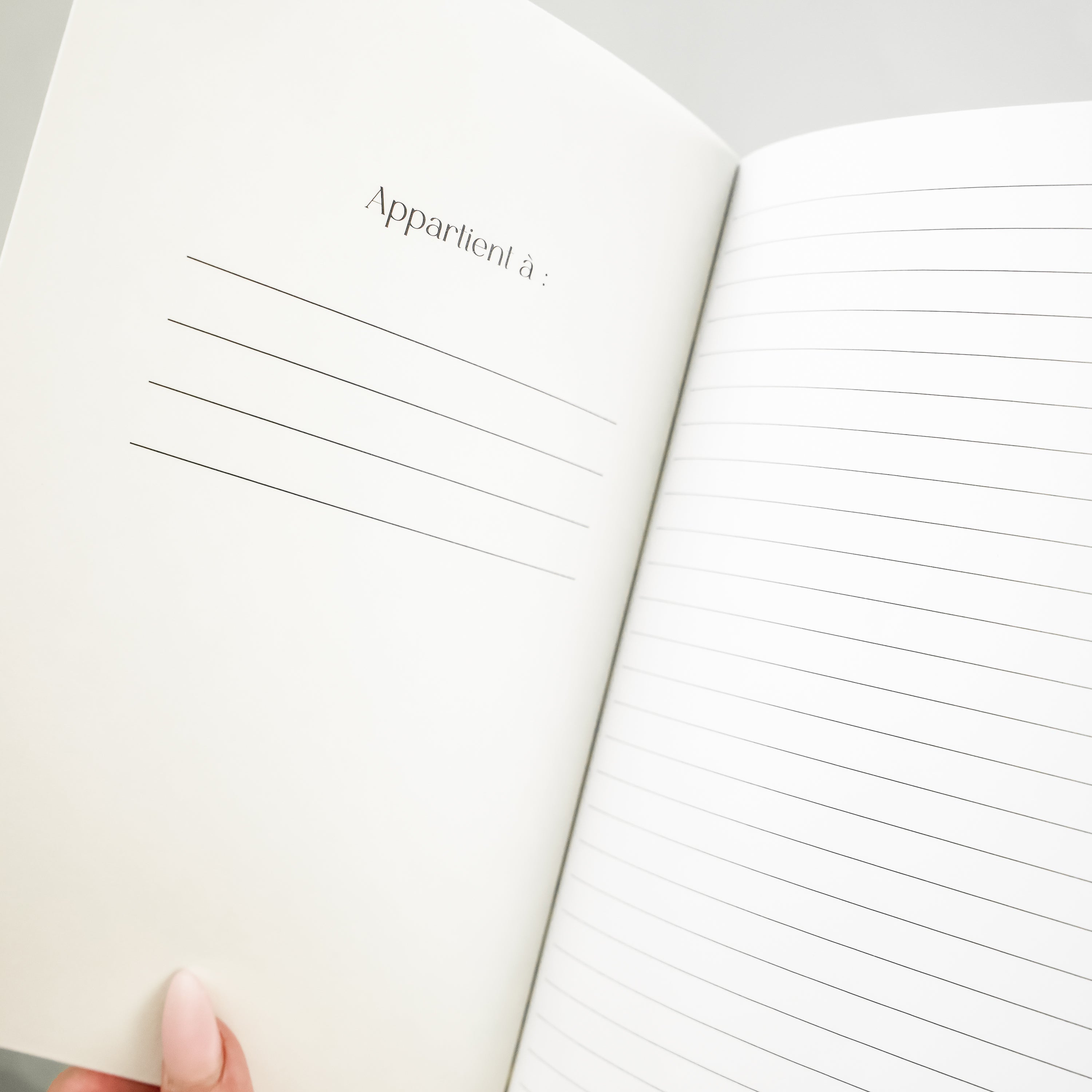 Carnet de notes - Lueurs de magnolias