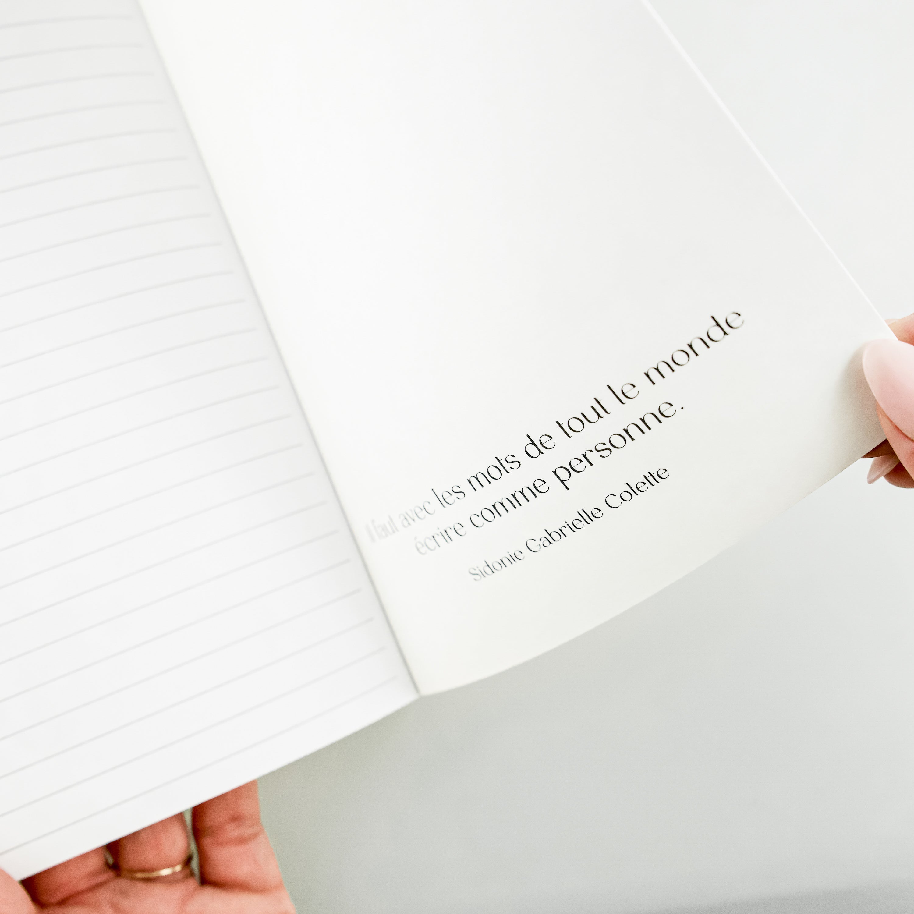 Carnet de notes - Lueurs de magnolias