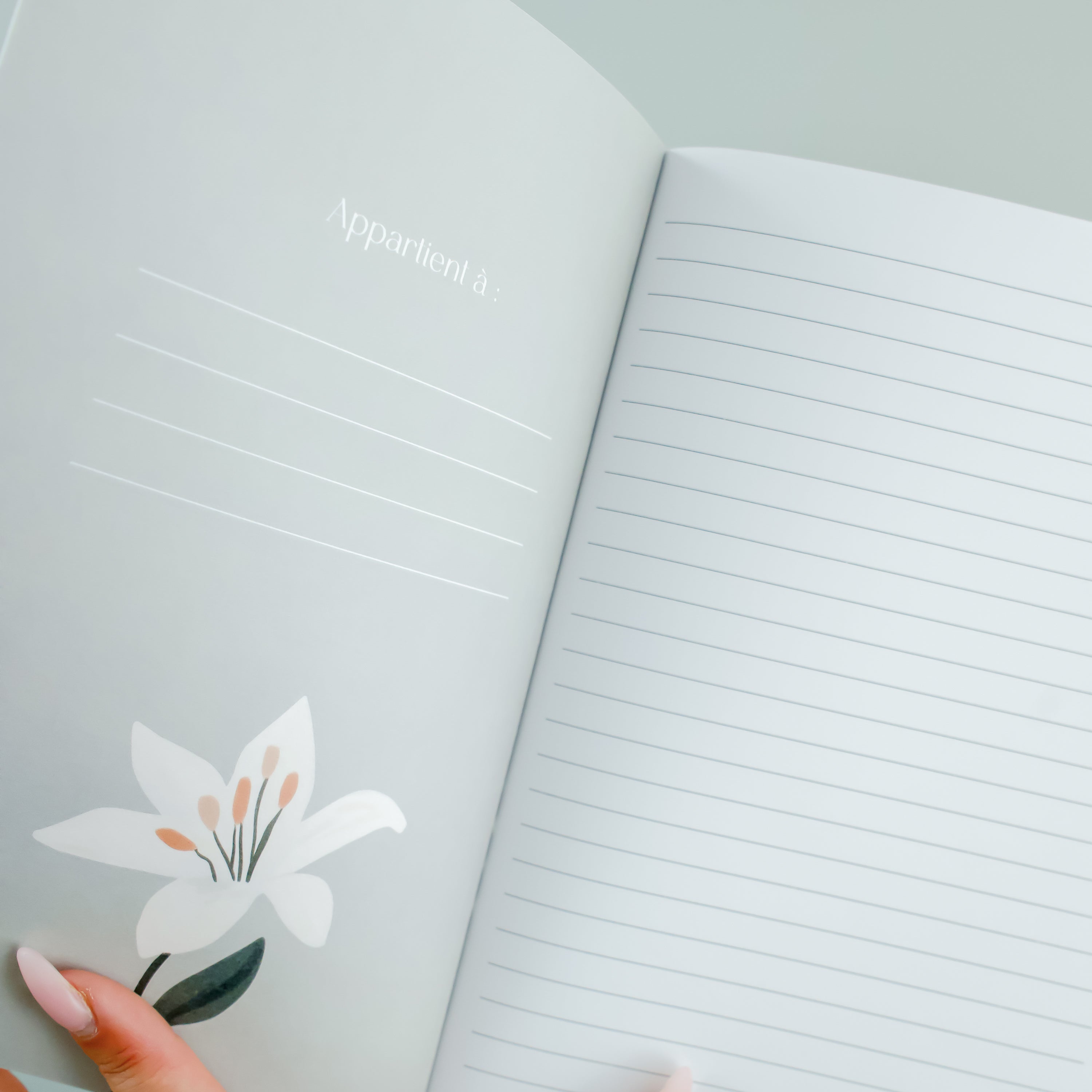 Carnet de notes - Danse des lys